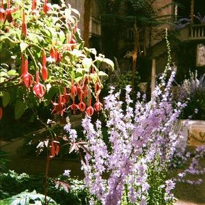 Meet your Posher, Polly